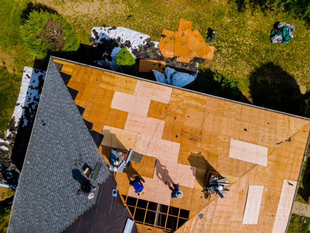 Best Roof Leak Repair  in Palisades Park, NJ
