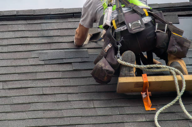 Best Roof Gutter Cleaning  in Palisades Park, NJ